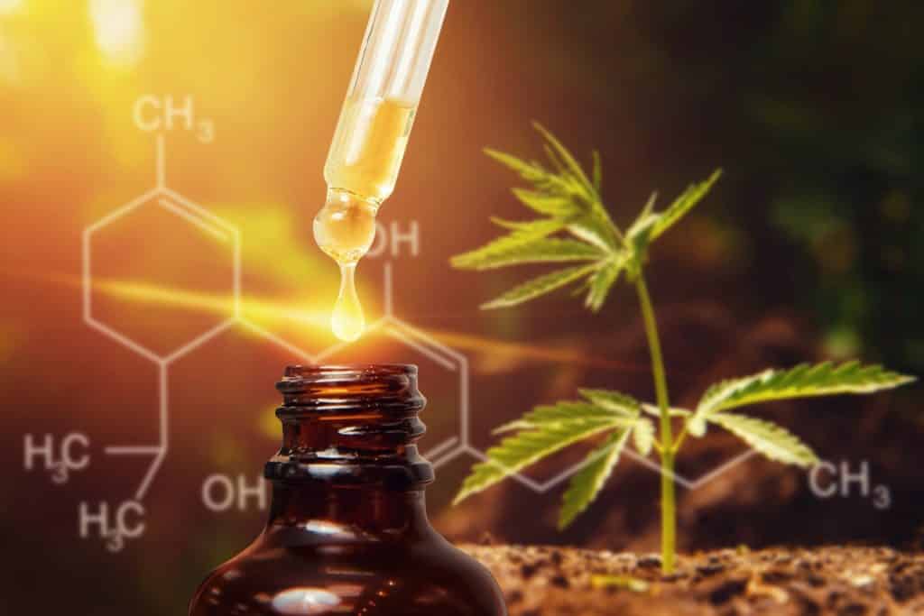 Dr. Nikesh Seth Details If CBD is Really Effective for Pain Management – HypoDown